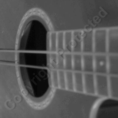 bass acc close  3  Thumbnail