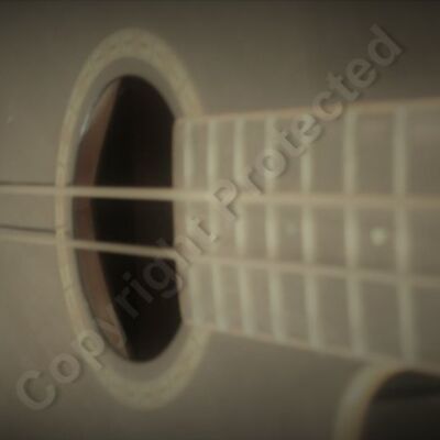 bass acc close  2  Thumbnail