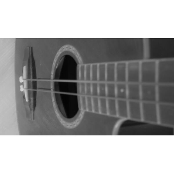 bass acc close  6  Thumbnail