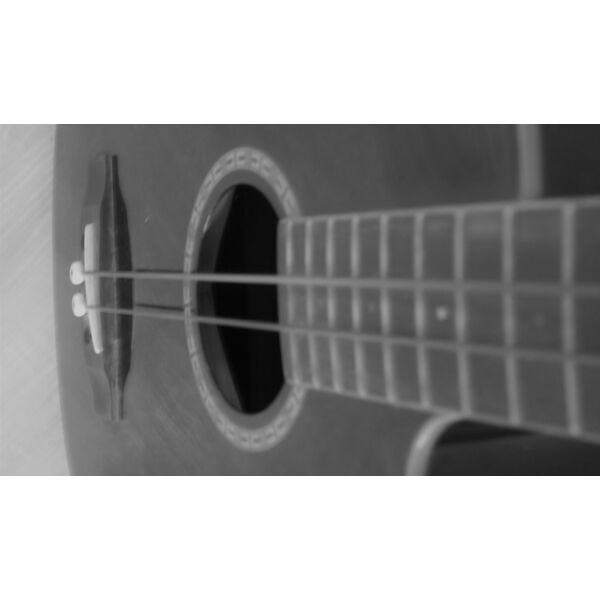 bass acc close  7  Thumbnail